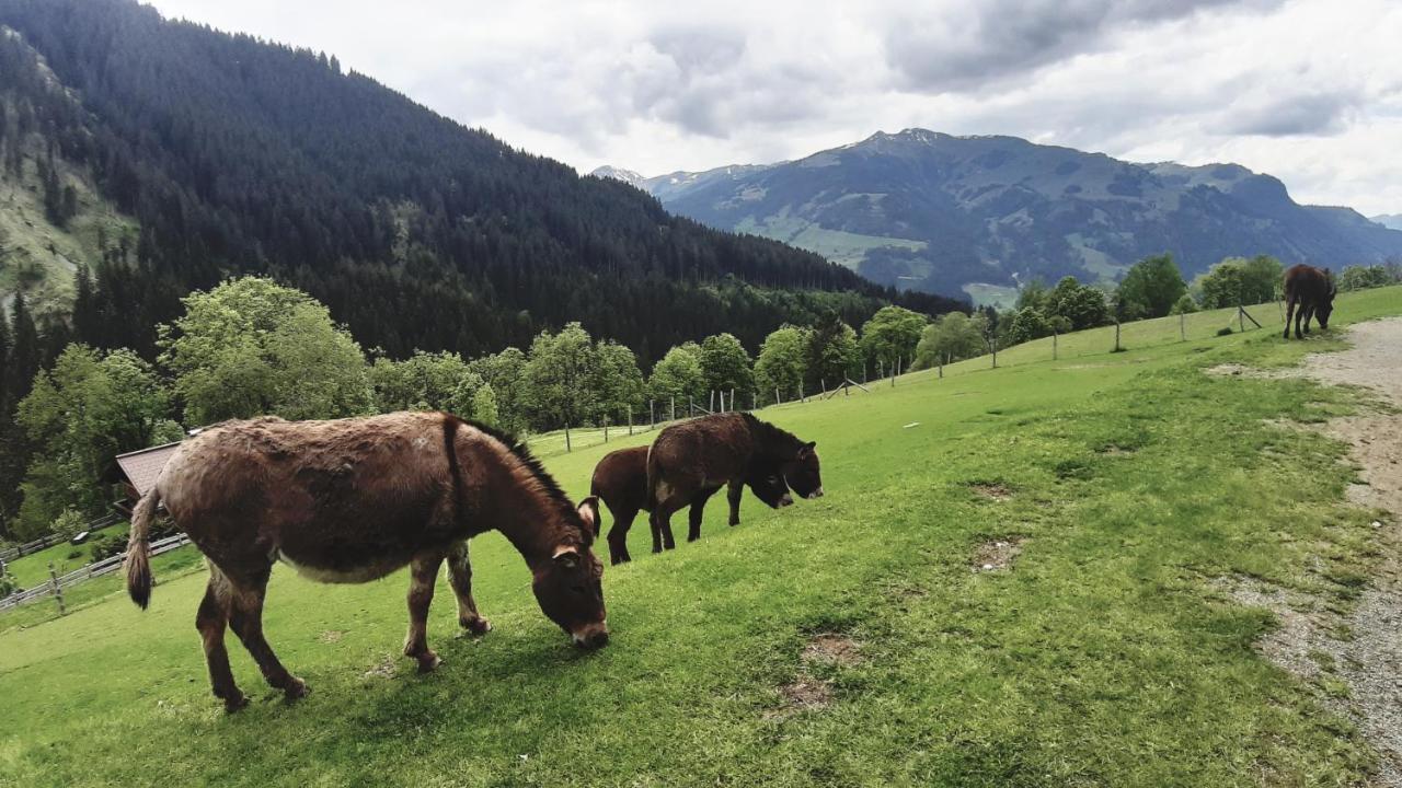 Privatzimmervermietung Foidlbauer Bed and Breakfast Oberndorf in Tirol Esterno foto